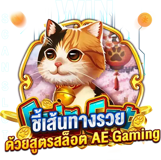 ชี้เส้นทางรวยได้ง่ายๆ ทำเงินได้จริง ด้วยสูตรสล็อต AEGaming