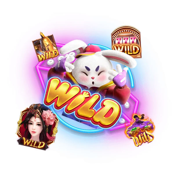 สัญลักษณ์ WILD